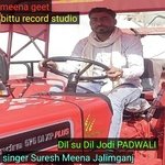 Dil su Dil Jodi PADWALI (MEENA GEET)