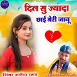 Dill Su Jyada Chai Meri Janu