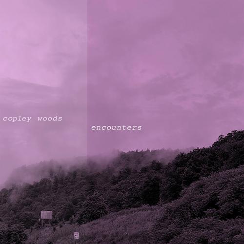 Tyler cover art
