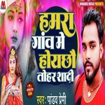 Hamar Gao Mai Hoicho Tohar Shadi