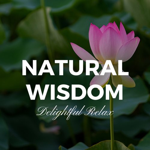 Natural Wisdom: Delightful Relax, Sound of Nature, Zen Yoga, Timeless Peace, Health of Mind