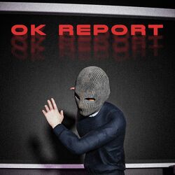 OK REPORT-CA5eST5XVAM