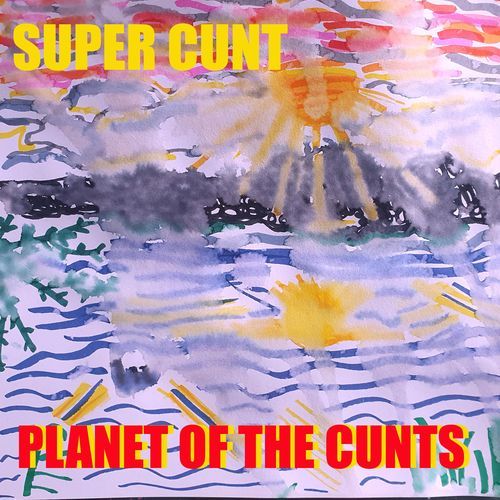 Invisible Cunts & Visible Pricks