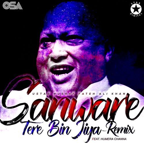 Sanware Tere Bin Jiya (Remix)