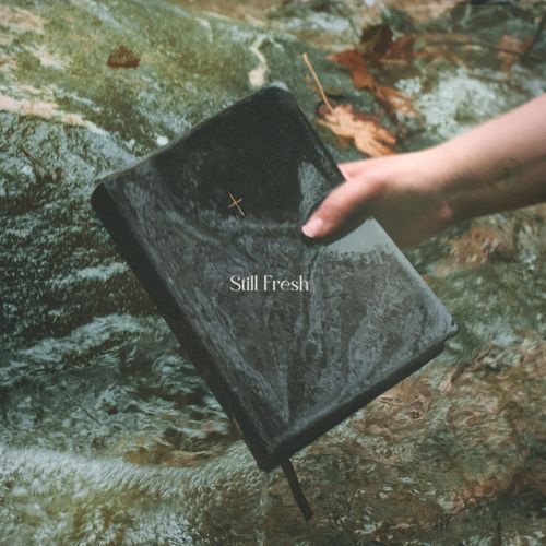 Still Fresh (Live) cover art