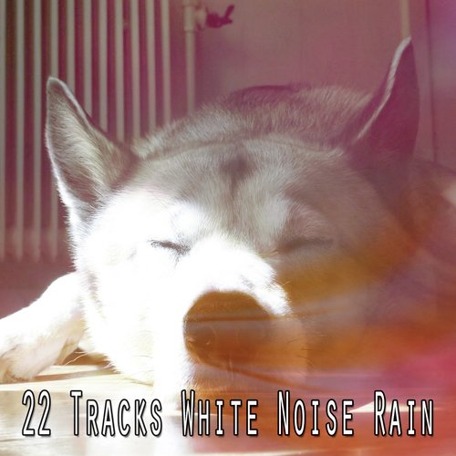 22 Tracks White Noise Rain