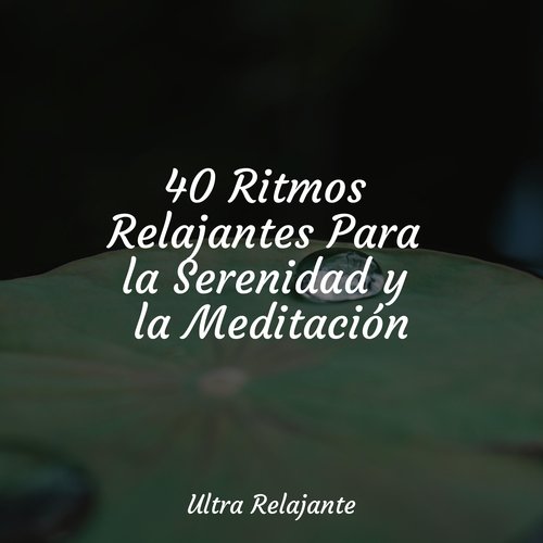 40 Ritmos Relajantes Para la Serenidad y la Meditación