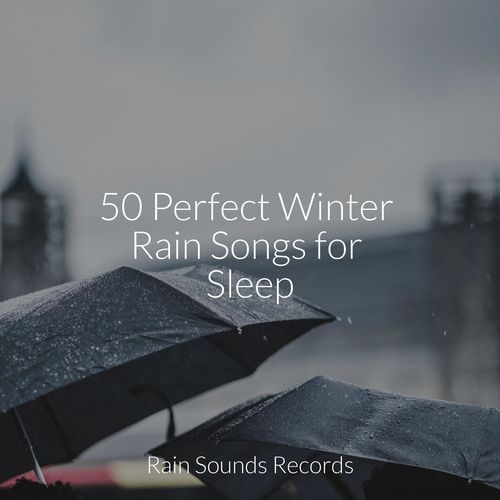 50 Perfect Winter Rain Songs for Sleep