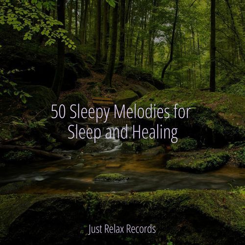 50 Sleepy Melodies for Sleep and Healing