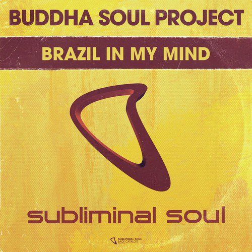 Brazil In My Mind (DJ Flex Remix) cover art
