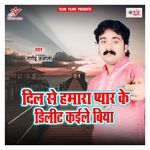 Dil Se Hamara Pyar Ke Delete Kaile Biya artwork
