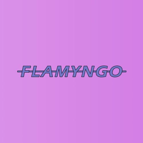 Flamyngo cover art
