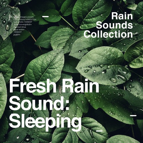 Rain Sounds Collection