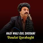 Haji Wali Gul Sherani