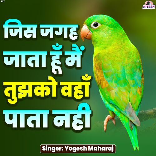 Jis Jagah Jaata Hoon Main Tujhko Wahan Paata Nahi