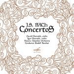 Violin Concerto No. 1 in A Minor, BWV 1041: II. Andante artwork