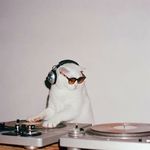 Love Tunes