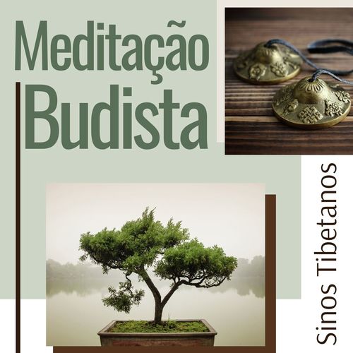 Viver Consciente cover art