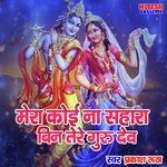 Mera Koi Na Sahara Bin Tere Guru Dev (Shyam Bhajan)