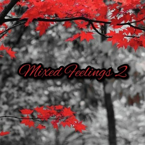 Mixed Feelings 2
