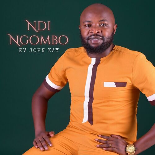 Ndi Ngombo cover art
