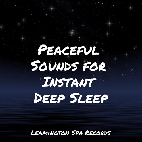 Peaceful Sounds for Instant Deep Sleep