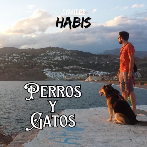 Perros Y Gatos cover art
