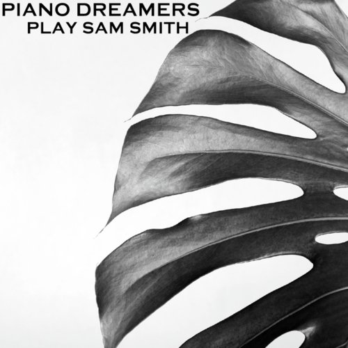 Piano Dreamers Perform Sam Smith (Instrumental)