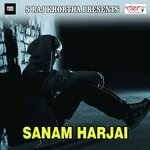 Sanam Harjai