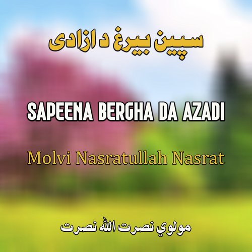 Sapeena Bergha Da Azadi