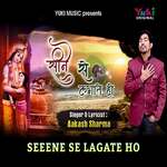 Seene Se Lagate Ho