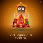 Shri Jagannath Mantra