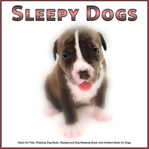 Sleepy Dogs cover art
