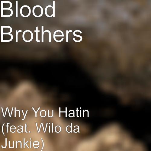 Why You Hatin (feat. Wilo da Junkie)