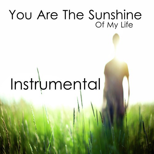 You Are the Sunshine of My Life: Instrumental