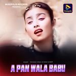 A Pan Wala Babu