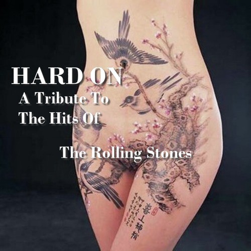A Tribute To The Hits of The Rolling Stones, Vol. 1
