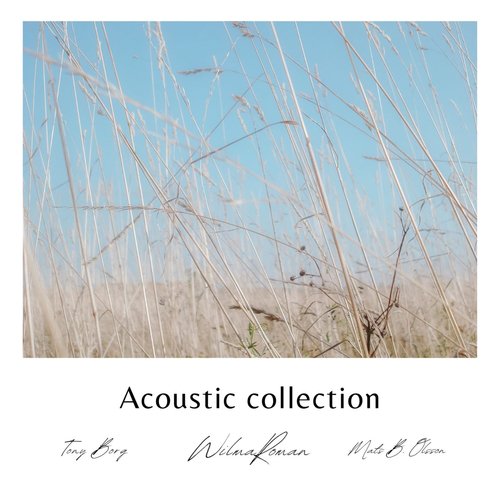 Acoustic Collection_poster_image