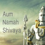 Aum Namah Shivaya