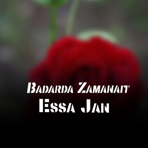 Badarda Zamanait