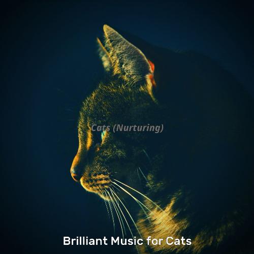 Kittens (Memories) cover art