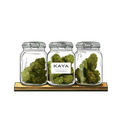 Kaya