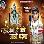 Mahadevji Ro Melo Aayo Parna (Dj Remix Song)