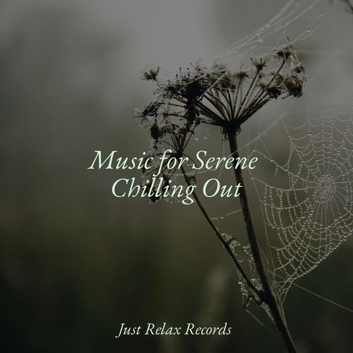 Music for Serene Chilling Out