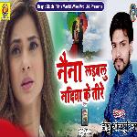Naina Ladavlu Nadiya Ke Tire