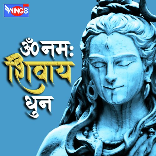 Om Namah Shivaya Dhun