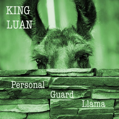 Personal Guard Llama
