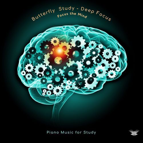 Reading Music cover art