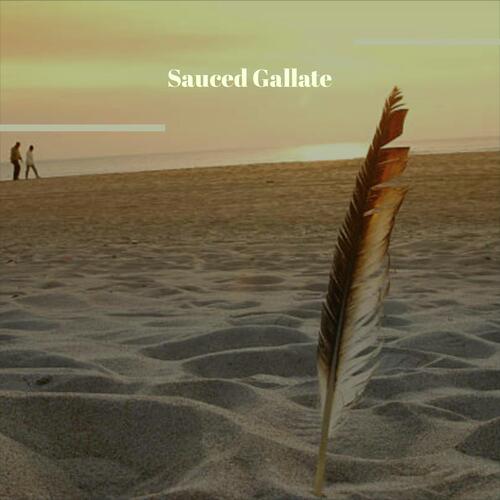 Sweetie Lifecycle cover art
