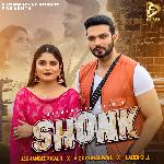 Shonk